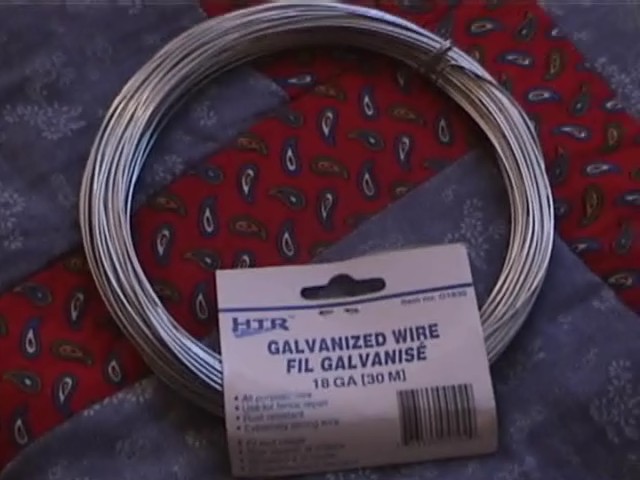 galvy.jpg